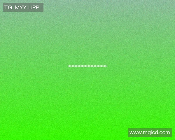 篮球明星简版球鞋的魅力与性能解析适合各类球迷的选择指南